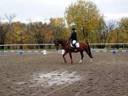 DSC02548-054_web